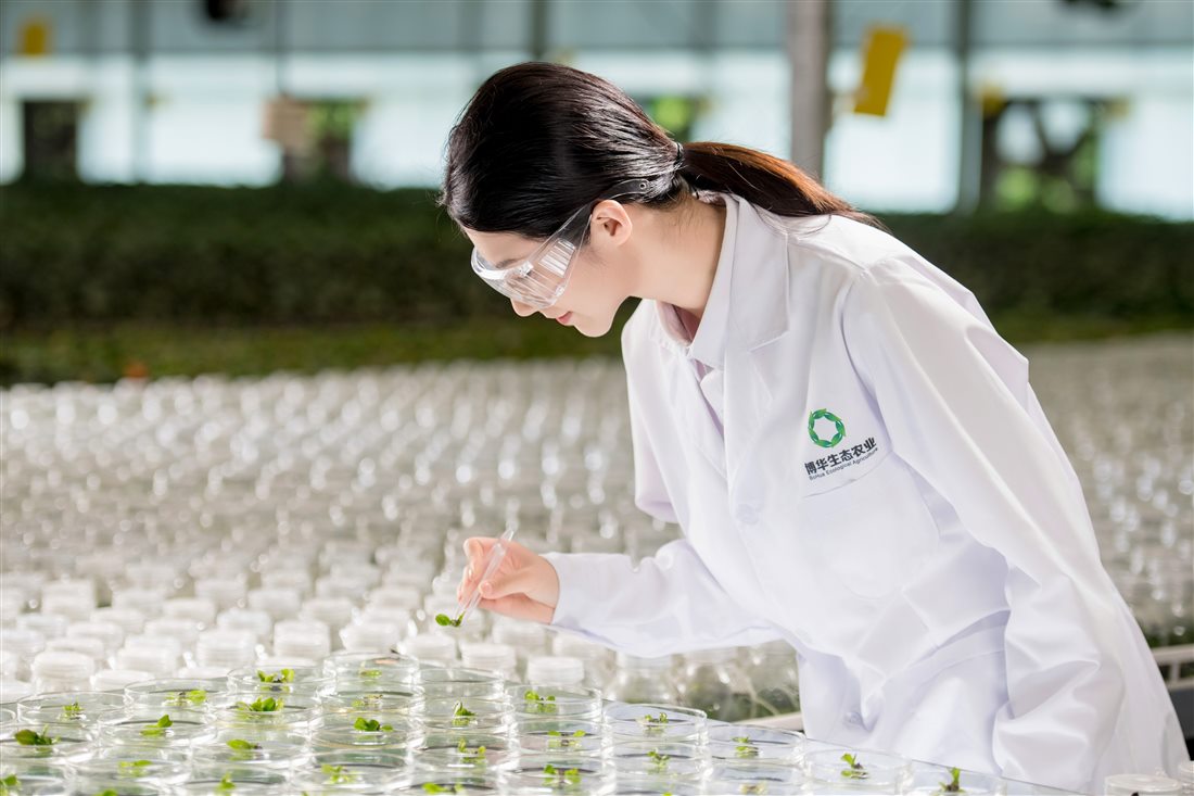 jcjc5500公海贵宾会(中国)会员检测中心-官方网站