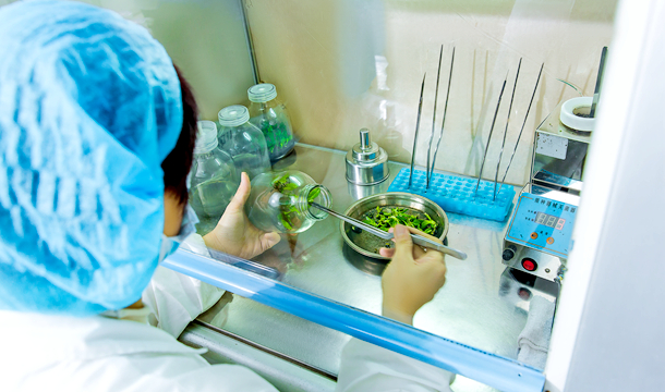 jcjc5500公海贵宾会(中国)会员检测中心-官方网站