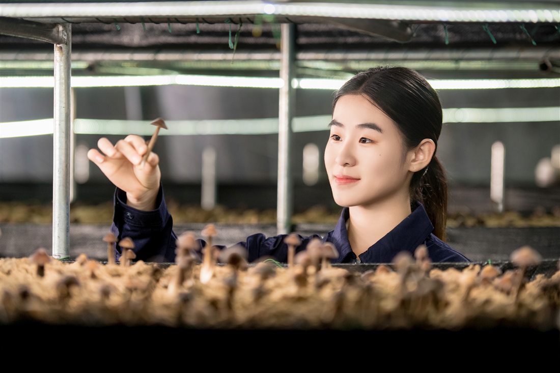 jcjc5500公海贵宾会(中国)会员检测中心-官方网站